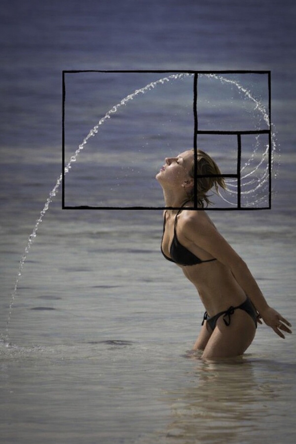 项目图集 图片3